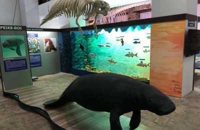 Museu do Mar do Delta do Parnaíba será entregue ao público na tarde desta sexta-feira